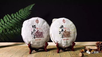 興茶視角 茶企需要爆款還是經典產品？