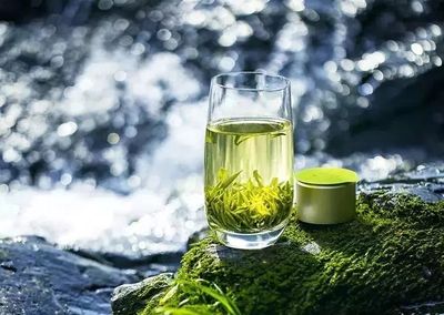 湖南農(nóng)大專家在茶葉中發(fā)現(xiàn)新型成分，助力預(yù)防肌肉萎縮，未來或可開發(fā)為辦公健康產(chǎn)品